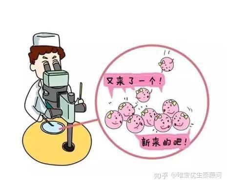 胚胎着床
