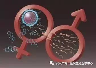 胚胎着床