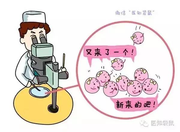 胚胎着床出血