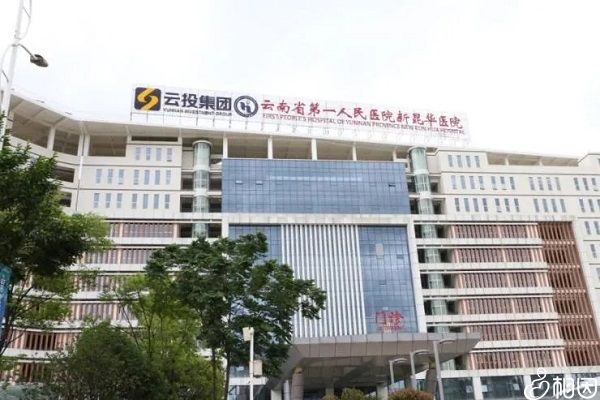 胚胎着床