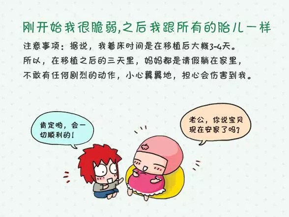 胚胎着床