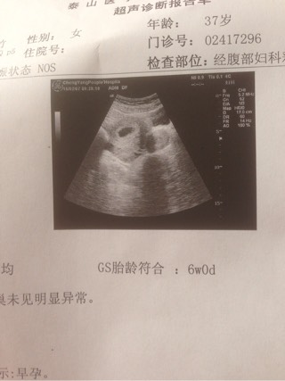 胚胎着床