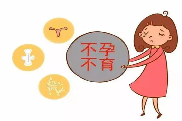 胚胎着床
