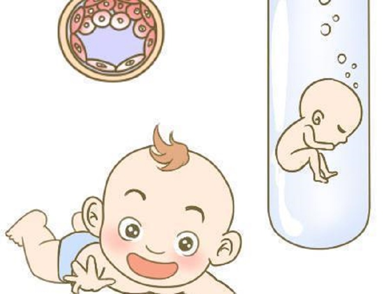胚胎着床