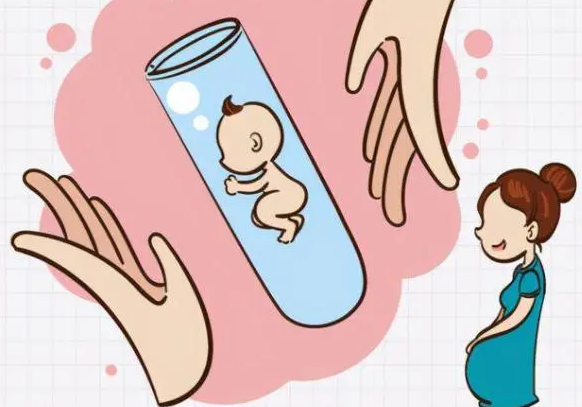 胚胎着床反应