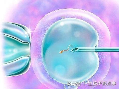 胚胎着床