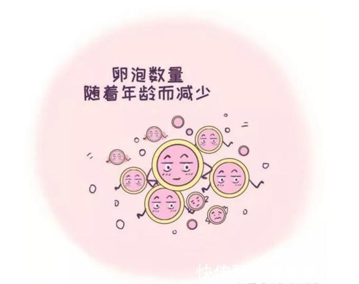胚胎着床