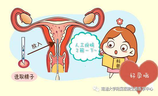胚胎着床出血