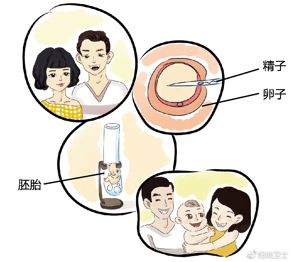 胚胎着床