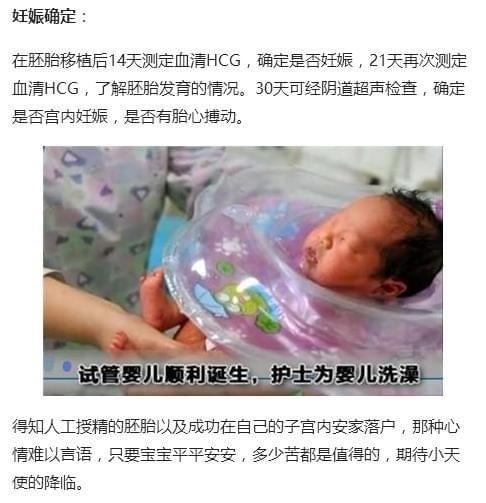胚胎着床