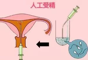 胚胎着床