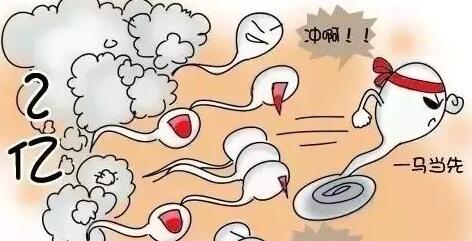 胚胎着床
