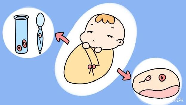 胚胎着床