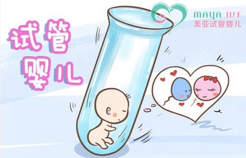 胚胎着床
