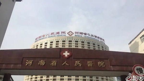 胚胎着床