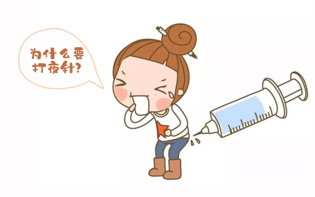 胚胎着床位置