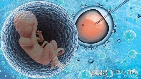 胚胎着床