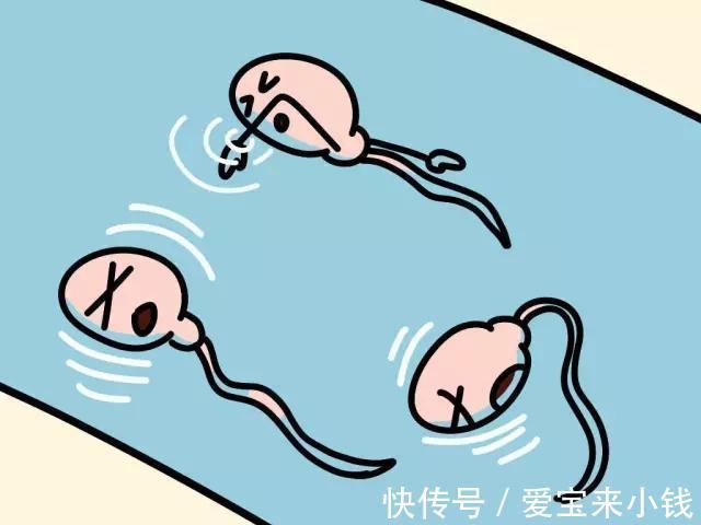 早孕试纸