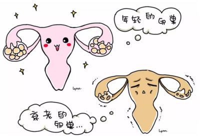 胚胎着床