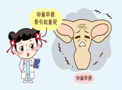 胚胎着床
