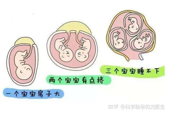 胚胎着床