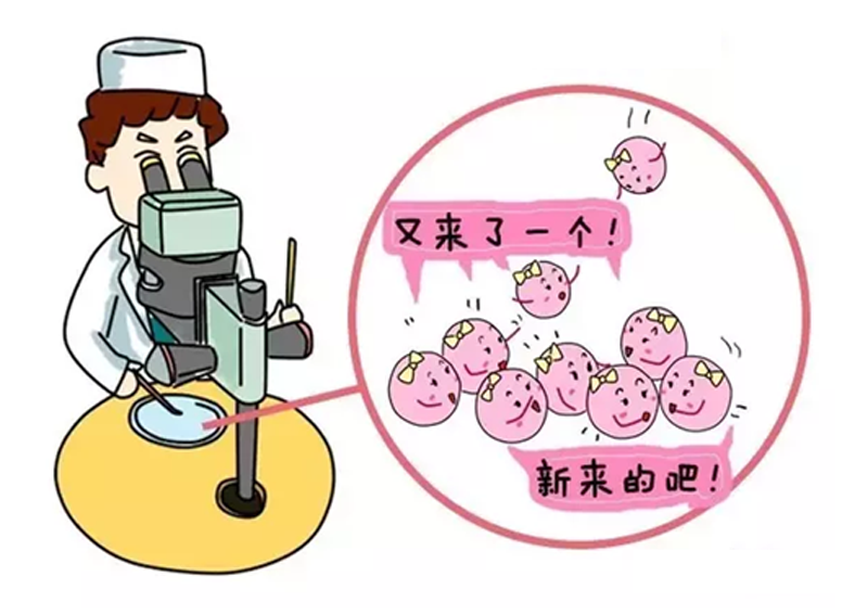 胚胎着床