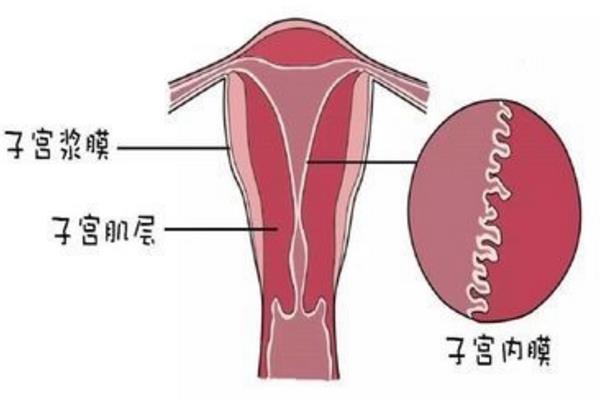 胚胎着床出血