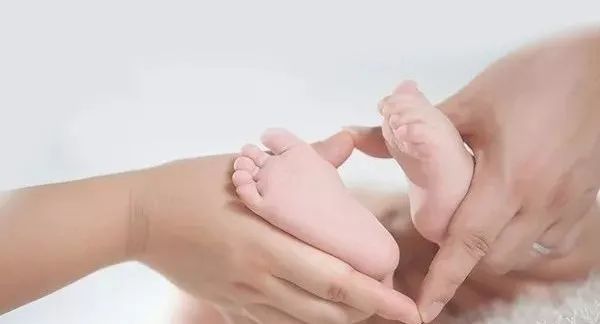 胚胎着床